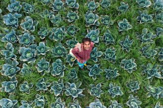 Leander: A mediterrán szomszéd, aki sosem hagyja el a kertet, mégis mindig feldobja a hangulatot