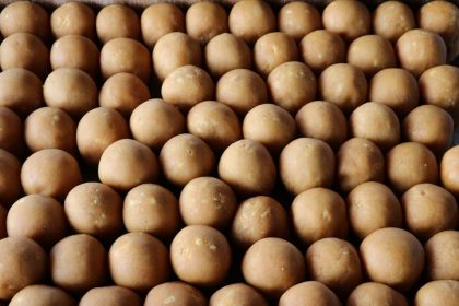 Burgonya a kertben: a föld alatti elnök, aki sosem kér szünetet