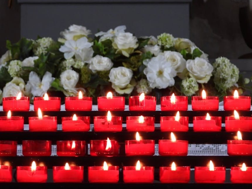 A gyertyavirág árnyékban is élő erényei: hogyan segíti a talajéletet és a biodiverzitást a kertben?