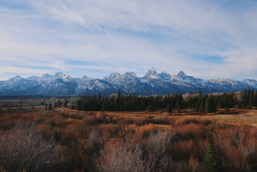 A Körös-Maros Nemzeti Park élő mozaikja: hogyan formálja a természet a táj kertészeti lehetőségeit?