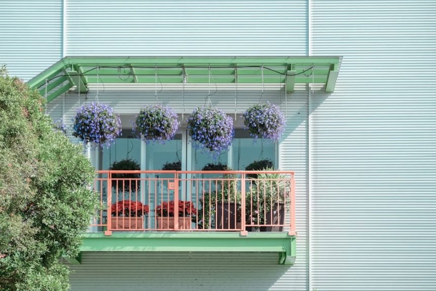 Balkon aranyám sápad és hullatja leveleit? Így hozd vissza gyorsan a régi fényét!